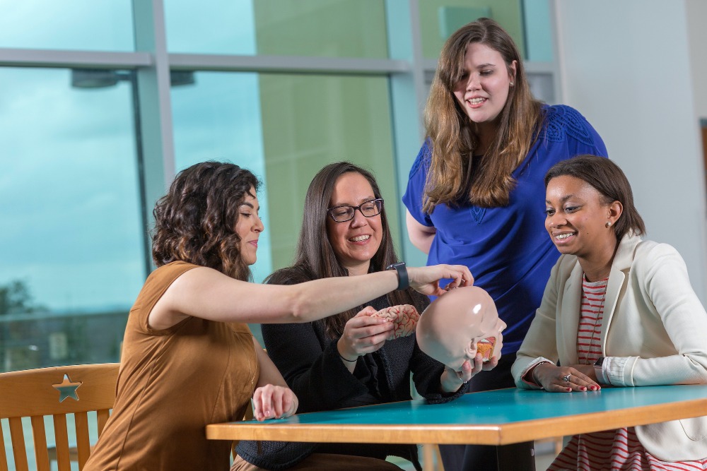 Communication Sciences and Disorders professor and students look at brain model