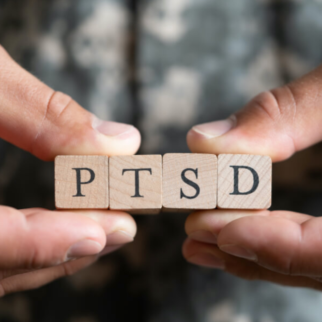 Photo of wood blocks spelling out PTSD